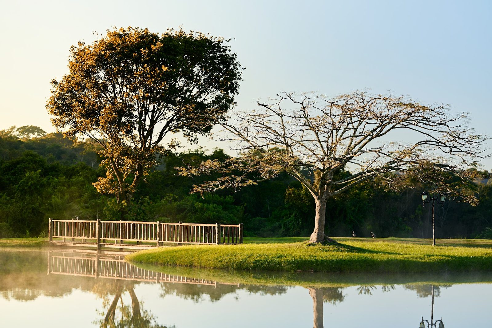 Fazenda Lumiar Estates — 2ª Etapa | lotes de 600 a 830 m² — Terreno em condomínio à venda em Bela Vista de Goiás (foto 5)