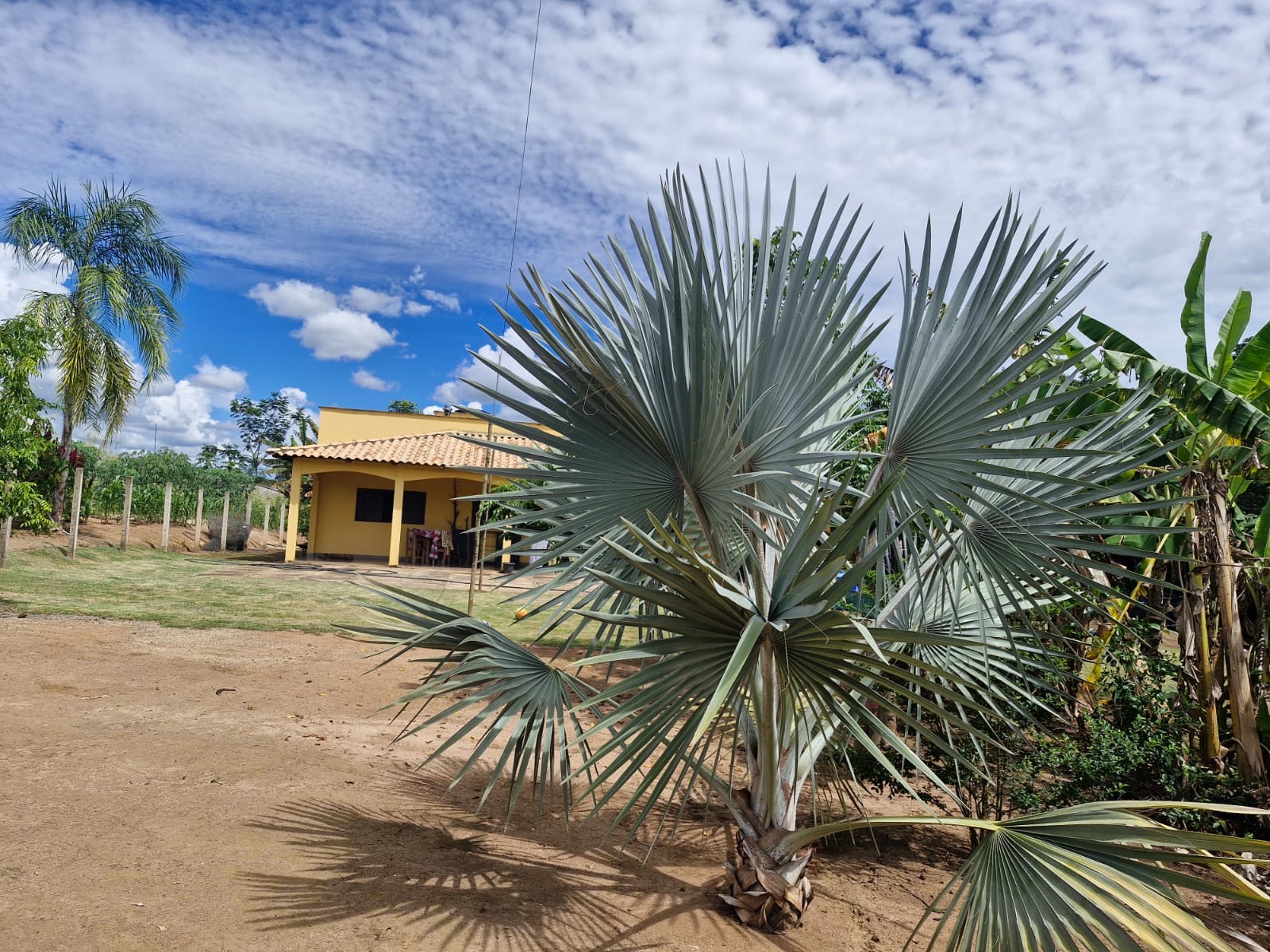 Chácara 3 quartos em Zona Rural, Piracanjuba — miniatura 8