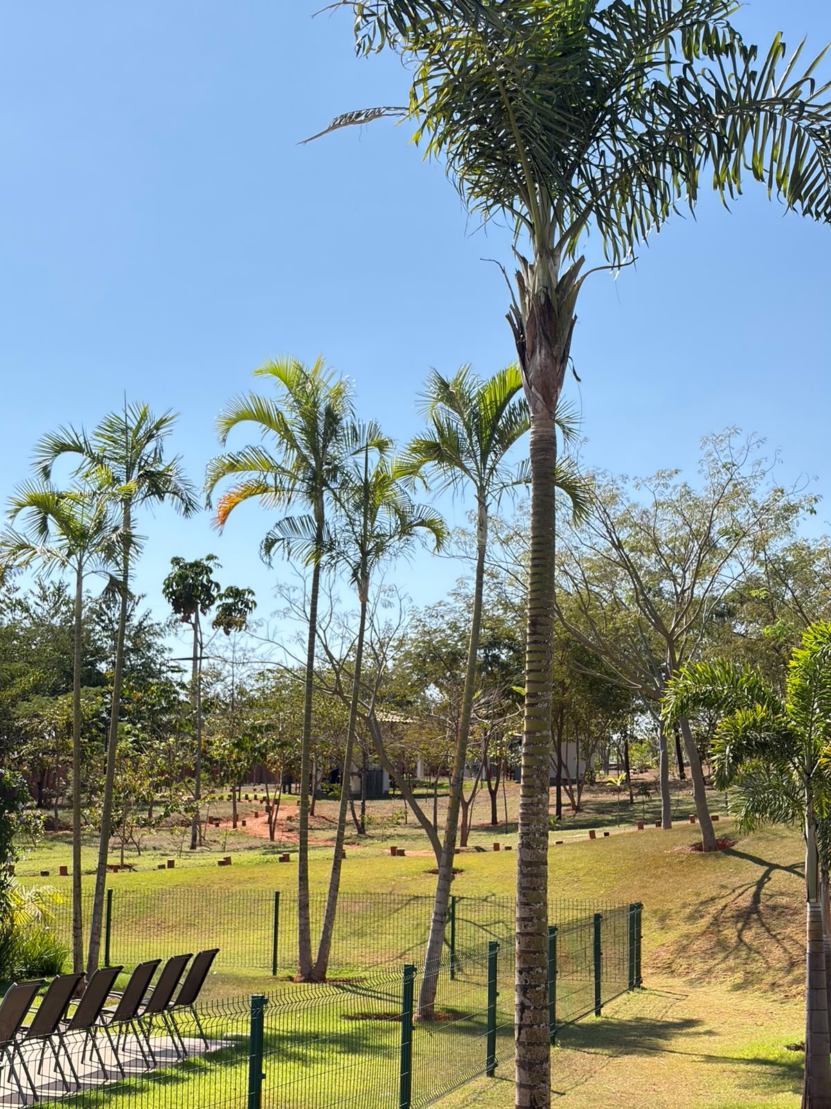 Terreno em condomínio no Distrito Agroindustrial, Senador Canedo — Terreno em condomínio à venda em Distrito Agroindustrial (foto 2)